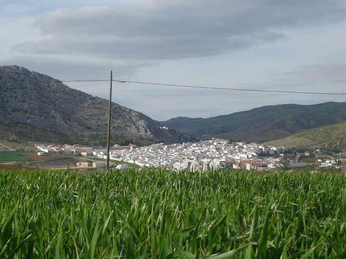 Mirador De La Era Pensionat Valle de Abdalagís Eksteriør billede